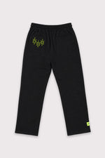 Catalysz Pants